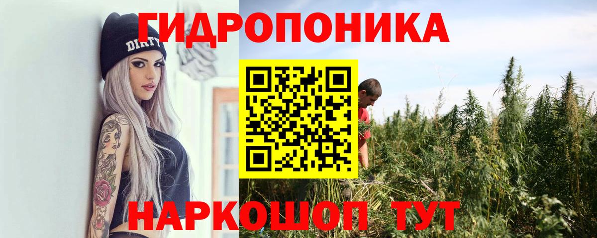 Канабис LSD WEED  Шишки марихуана тримм  Канабис сатива  Вход с VPN  Шишки марихуана индика  Павлово 